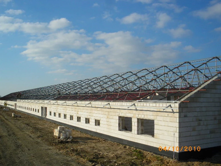 konstrukcja stalowa dachu